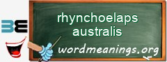 WordMeaning blackboard for rhynchoelaps australis